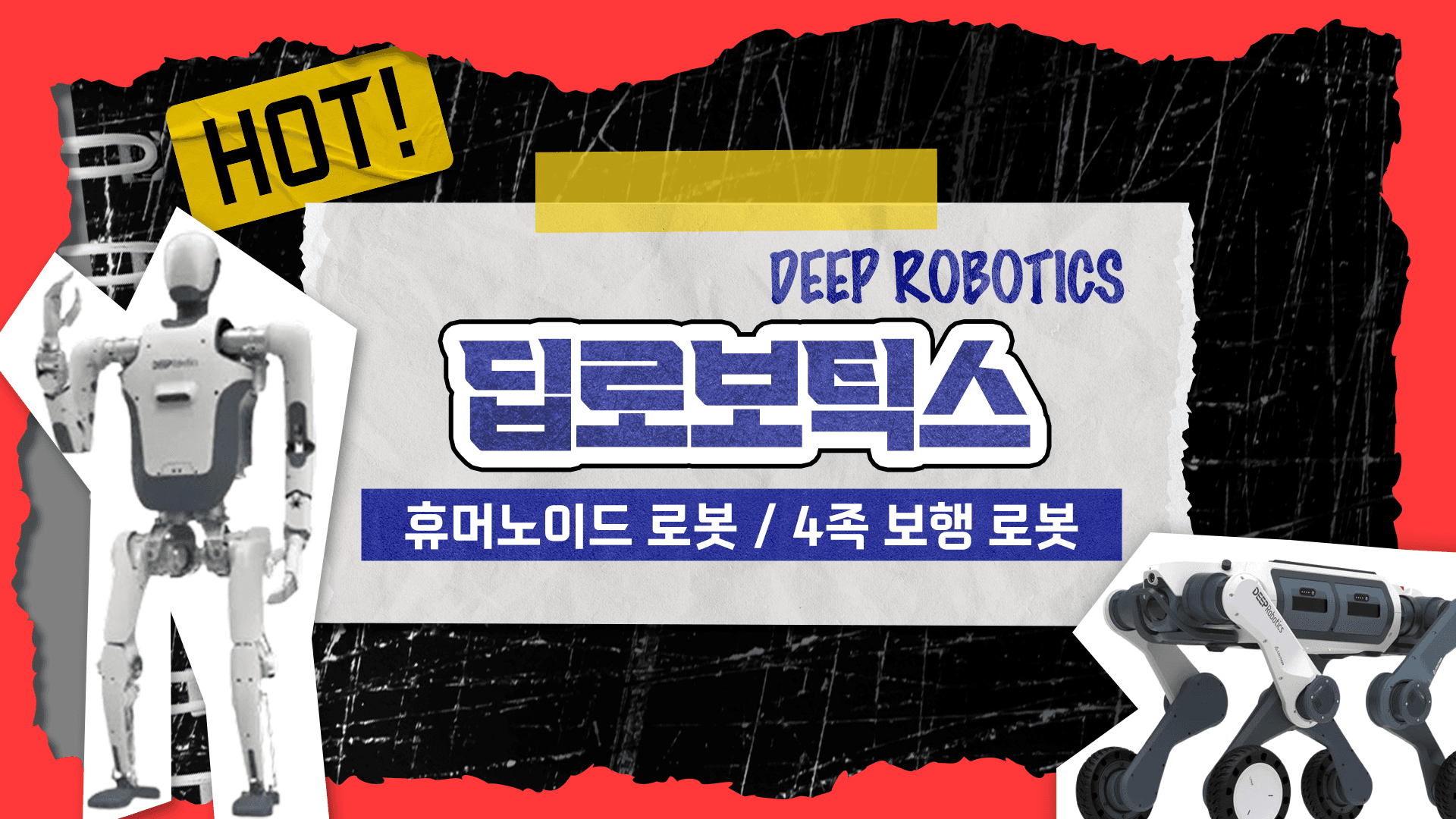 딥로보틱스 로봇개 / 휴머노이드 로봇 5종 리뷰 📑